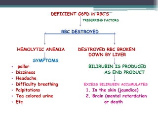 DEFICIENT G6PD in RBC’S
                                       rosario anne r bernabe



                                  TRIGERRING FACTORS


                 .         RBC DESTROYED                        .



    HEMOLYTIC ANEMIA            DESTROYED RBC BROKEN
                                   DOWN BY LIVER
            SYMPTOMS
•    pallor                         BILIRUBIN IS PRODUCED
•   Dizziness                             AS END PRODUCT
•   Headache
•   Difficulty breathing          EXCESS BILIRUBIN ACCUMULATES
•   Palpitations                   1. In the skin (jaundice)
•   Tea colored urine              2. Brain (mental retardation
•   Etc                                     or death
 