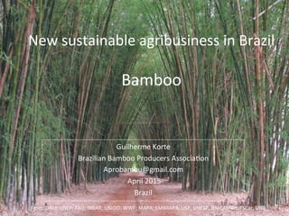  From:	
  ONU;	
  UNEP;	
  FAO;	
  INBAR;	
  UNIDO;	
  WWF;	
  MAPA;	
  EMBRAPA;	
  USP,	
  UNESP,	
  UNICAMP,	
  UFSCar,	
  UNB	
  
	
  
New	
  sustainable	
  agribusiness	
  in	
  Brazil	
  	
  	
  
	
  
Bamboo	
  
Guilherme	
  Korte	
  
Brazilian	
  Bamboo	
  Producers	
  AssociaHon	
  
Aprobambu@gmail.com	
  	
  
	
  April	
  2015	
  
Brazil	
  
 