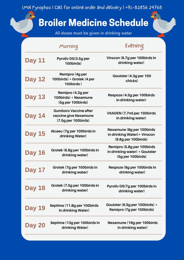 Broiler Medicine Schedule Chart Broiler Farming Made Easy PDF
