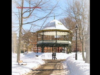 Kings Square in St.Johns
 