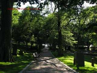 Loyalist s Burial Ground, St.Johns
 