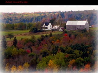 Autum in country side
 