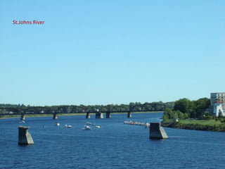 St.Johns River
 