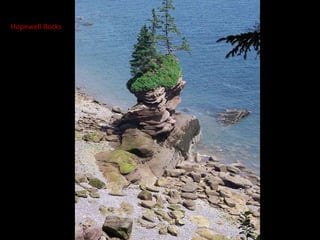 Hopewell Rocks
 