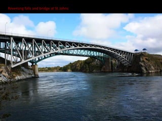 Reversing falls and bridge at St.Johns
 