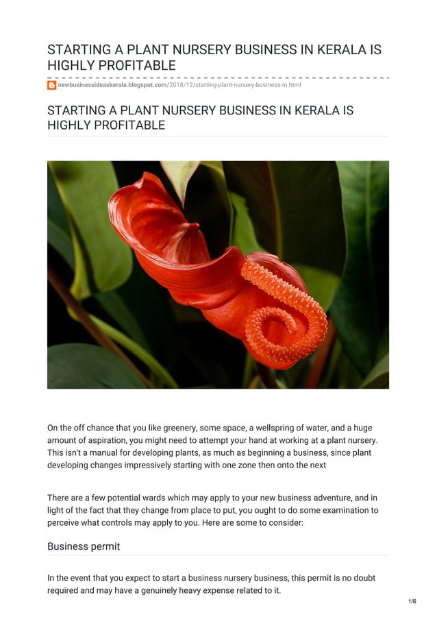 Starting a Plant Nursery Business in Kerala A Guide PDF