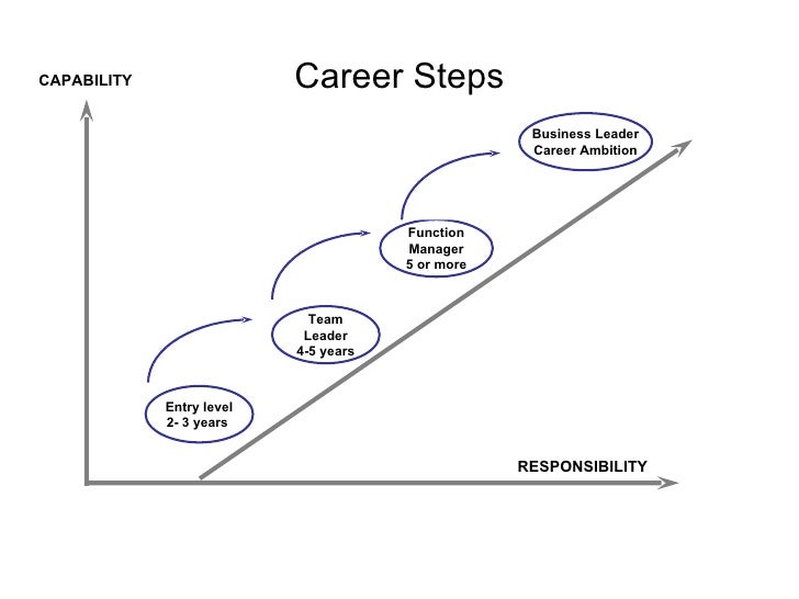 New Career Ladder The Lattice