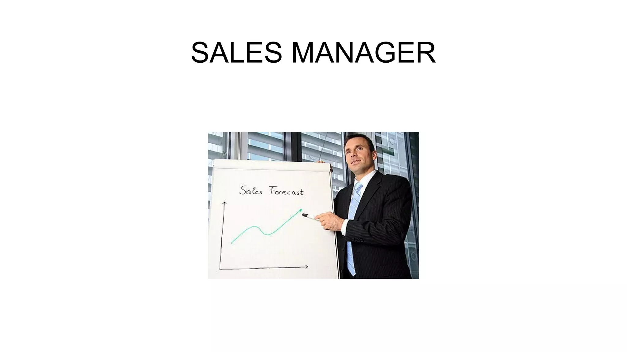 SALES MANAGER

 