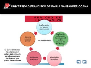 UNIVERSIDAD FRANCISCO DE PAULA SANTANDER OCAÑA PERIODO DE INCUBACIÓN 5-6 promedio días El curso clínico de la enfermedad estará determinado por el mecanismo de defensa que pueda desarrollarse 