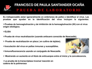 Es indispensable aislar (generalmente en embriones de pollo) e identificar el virus. Las pruebas que ayudan en la identificación del virus incluyen la siguientes:   Pruebas de hemoaglutinación y de inhibición de la hemoaglutinación (IH) con el virus origen etiológico. ELISA   Prueba de virus neutralización (usando antisuero conocido de Newcastle). Prueba de neutralización en placa ( en cultivo de tejidos). Inoculación del virus en pollos inmunes y susceptibles. Inmunofluorescencia usando un conjugado de Newcastle. Mostrando un aumento en el título de anticuerpos entre el inicio y la convalecencia. La prueba de la transcriptasa inversa/ reacción en cadena de la polimerasa PRUEBA DE LABORATORIO 