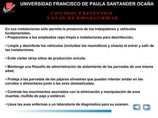 UNIVERSIDAD FRANCISCO DE PAULA SANTANDER OCAÑA CONTROL PREVENTIVO  Y PLAN DE BIOSEGURIDAD GRACIAS En sus instalaciones sólo permita la presencia de los trabajadores y vehículos fundamentales. •  Proporcione a los empleados ropa limpia e instalaciones para desinfección. •  Limpie y desinfecte los vehículos (incluidos los neumáticos y chasis) al entrar y salir de las instalaciones. •  Evite visitar otros sitios de producción avícola. •  Mantenga una filosofía de administración de aislamiento de las parvadas de una misma edad. •  Proteja a las parvadas de los pájaros silvestres que puedan intentar anidar en los corrales o alimentarse junto a las aves domesticadas. •  Controle los movimientos asociados con la eliminación y manipulación de aves muertas, mullido de paja y estiércol. •  Lleve las aves enfermas a un laboratorio de diagnóstico para su examen. 