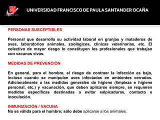 PERSONAS SUSCEPTIBLES Personal que desarrolla su actividad laboral en granjas y mataderos de aves, laboratorios animales, zoológicos, clínicas veterinarias, etc. El colectivo de mayor riesgo lo constituyen los profesionales que trabajan con vacunas vivas. MEDIDAS DE PREVENCIÓN En general, para el hombre, el riesgo de contraer la infección es bajo, incluso cuando se manipulan aves infectadas en ambientes cerrados. Adicionalmente a las medidas generales de higiene (limpieza e higiene personal, etc.) y vacunación, que deben aplicarse siempre, se requieren medidas específicas destinadas a evitar salpicaduras, contacto e inoculación. INMUNIZACIÓN / VACUNA No es válida para el hombre; sólo debe  aplicarse a los animales. 