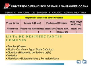 UNIVERSIDAD FRANCISCO DE PAULA SANTANDER OCAÑA GRACIAS http://www.senasa.gob.pe/instalaciones/direcciones_desconcentradas/index.htm LISTA DE DESINFECTANTES COMUNES •  Fenoles (Kreso) •  Álcalis (Cal Viva + Agua, Soda Caústica) •  Clorados (Hipoclorito de Sodio o Lejía) •  Yodados •  Aldehídos (Glutaraldehídos y Formaldehídos) SERVICIO NACIONAL DE SANIDAD Y CALIDAD AGROALIMENTARIA  SENASA Programa de Vacunación contra Newcastle 1° sem de vida Levante (2-20 sem) Producción (21-74 sem) Muda (mayor de 60 sem) Vacuna viva Vacuna viva Vacuna inact. Vacuna viva Vacuna inact. Vacuna viva 1 1 1 1 Una por año 1 