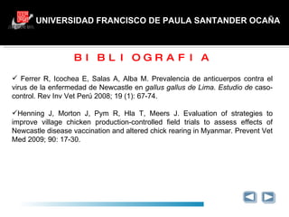 UNIVERSIDAD FRANCISCO DE PAULA SANTANDER OCAÑA GRACIAS BIBLIOGRAFIA Ferrer R, Icochea E, Salas A, Alba M.  Prevalencia de anticuerpos contra el virus de la enfermedad de Newcastle en  gallus gallus de Lima. Estudio de  caso-control. Rev Inv Vet Perú 2008; 19 (1): 67-74. Henning J, Morton J, Pym R, Hla T, Meers  J. Evaluation of strategies to improve  village chicken production-controlled  field trials to assess effects of  Newcastle disease vaccination and  altered chick rearing in Myanmar.  Prevent Vet Med 2009; 90: 17-30. 