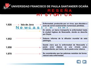 UNIVERSIDAD FRANCISCO DE PAULA SANTANDER OCAÑA RESEÑA HISTÓRICA Newcastle del Tyne  - Inglaterra 1.926 Isla de Java Enfermedad, producida por un virus, que afectaba a aves de corral ocasionando numerosas pérdidas. En otoño, un barco transporta la enfermedad hasta la ciudad Inglesa de Newcastle, donde es descrita por Doyle. 1.952 Dobons informa de la difusión mundial de esta patología. 1.950 Queda claro que la enfermedad de Newcastle o peste aviar atípica es una virosis aviar, independiente, por tanto, de la peste aviar clásica. Se consideraba que las palomas resistían de forma natural esta enfermedad.  1.970  