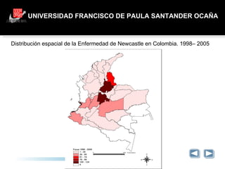 UNIVERSIDAD FRANCISCO DE PAULA SANTANDER OCAÑA GRACIAS Distribución espacial de la Enfermedad de Newcastle en Colombia. 1998– 2005 