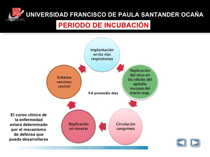 cadena epidemiologica paperas newcastle cadena epidemiologica paperas newcastle