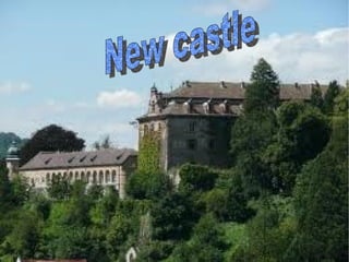 New castle 