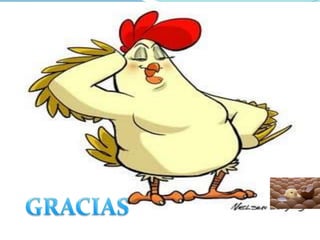 GRACIAS