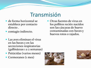 Transmisión
 de forma horizontal se         Otras fuentes de virus en
  establece por contacto          los pollitos recién nacidos
  directo .                       son las cáscaras de huevo
 contagio indirecto.             contaminadas con heces y
                                  huevos rotos o rajados.
 Las aves eliminan el virus
  en las heces y en las
  secreciones respiratorias
  (gallináceas 1 a 2 semanas)
 Psitácidas (varios meses)
 Cormoranes (1 mes)
 
