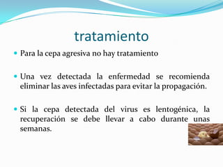 tratamiento
 Para la cepa agresiva no hay tratamiento


 Una vez detectada la enfermedad se recomienda
 eliminar las aves infectadas para evitar la propagación.

 Si la cepa detectada del virus es lentogénica, la
 recuperación se debe llevar a cabo durante unas
 semanas.
 