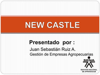 Presentado por :
Juan Sebastián Ruiz A.
Gestión de Empresas Agropecuarias
 