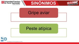 SINÓNIMOS
Gripe aviar
Peste atípica
 
