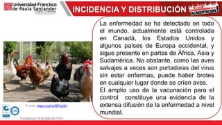 INCIDENCIA Y DISTRIBUCIÓN
Fuente: https://cutt.ly/fEPoz3H
La enfermedad se ha detectado en todo
el mundo, actualmente está controlada
en Canadá, los Estados Unidos y
algunos países de Europa occidental, y
sigue presente en partes de África, Asia y
Sudamérica. No obstante, como las aves
salvajes a veces son portadoras del virus
sin estar enfermas, puede haber brotes
en cualquier lugar donde se críen aves.
El amplio uso de la vacunación para el
control constituye una evidencia de la
extensa difusión de la enfermedad a nivel
mundial.
 