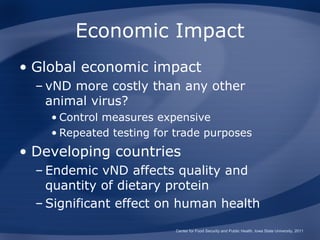 Economic Impact
• Global economic impact
  – vND more costly than any other
    animal virus?
    • Control measures expensive
    • Repeated testing for trade purposes
• Developing countries
  – Endemic vND affects quality and
    quantity of dietary protein
  – Significant effect on human health
                          Center for Food Security and Public Health, Iowa State University, 2011
 