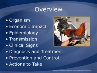 Overview
• Organism
• Economic Impact
• Epidemiology
• Transmission
• Clinical Signs
• Diagnosis and Treatment
• Prevention and Control
• Actions to Take
                    Center for Food Security and Public Health, Iowa State University, 2011
 