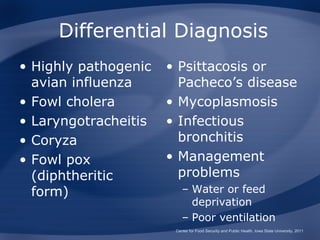 Differential Diagnosis
• Highly pathogenic   • Psittacosis or
  avian influenza       Pacheco’s disease
• Fowl cholera        • Mycoplasmosis
• Laryngotracheitis   • Infectious
• Coryza                bronchitis
• Fowl pox            • Management
  (diphtheritic         problems
  form)                   – Water or feed
                            deprivation
                          – Poor ventilation
                       Center for Food Security and Public Health, Iowa State University, 2011
 