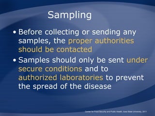 Sampling
• Before collecting or sending any
  samples, the proper authorities
  should be contacted
• Samples should only be sent under
  secure conditions and to
  authorized laboratories to prevent
  the spread of the disease


                   Center for Food Security and Public Health, Iowa State University, 2011
 