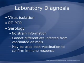Laboratory Diagnosis
• Virus isolation
• RT-PCR
• Serology
  – No strain information
  – Cannot differentiate infected from
    vaccinated animals
  – May be used post-vaccination to
    confirm immune response

                        Center for Food Security and Public Health, Iowa State University, 2011
 