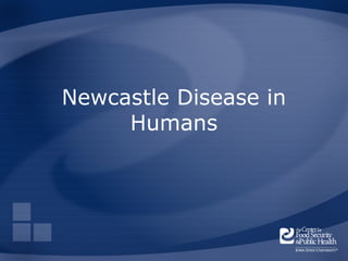 Newcastle Disease in
     Humans
 