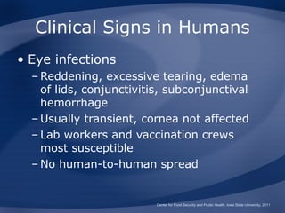 Clinical Signs in Humans
• Eye infections
  – Reddening, excessive tearing, edema
    of lids, conjunctivitis, subconjunctival
    hemorrhage
  – Usually transient, cornea not affected
  – Lab workers and vaccination crews
    most susceptible
  – No human-to-human spread


                          Center for Food Security and Public Health, Iowa State University, 2011
 