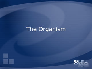 The Organism
 