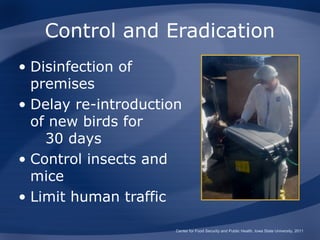 Control and Eradication
• Disinfection of
  premises
• Delay re-introduction
  of new birds for
    30 days
• Control insects and
  mice
• Limit human traffic

                      Center for Food Security and Public Health, Iowa State University, 2011
 
