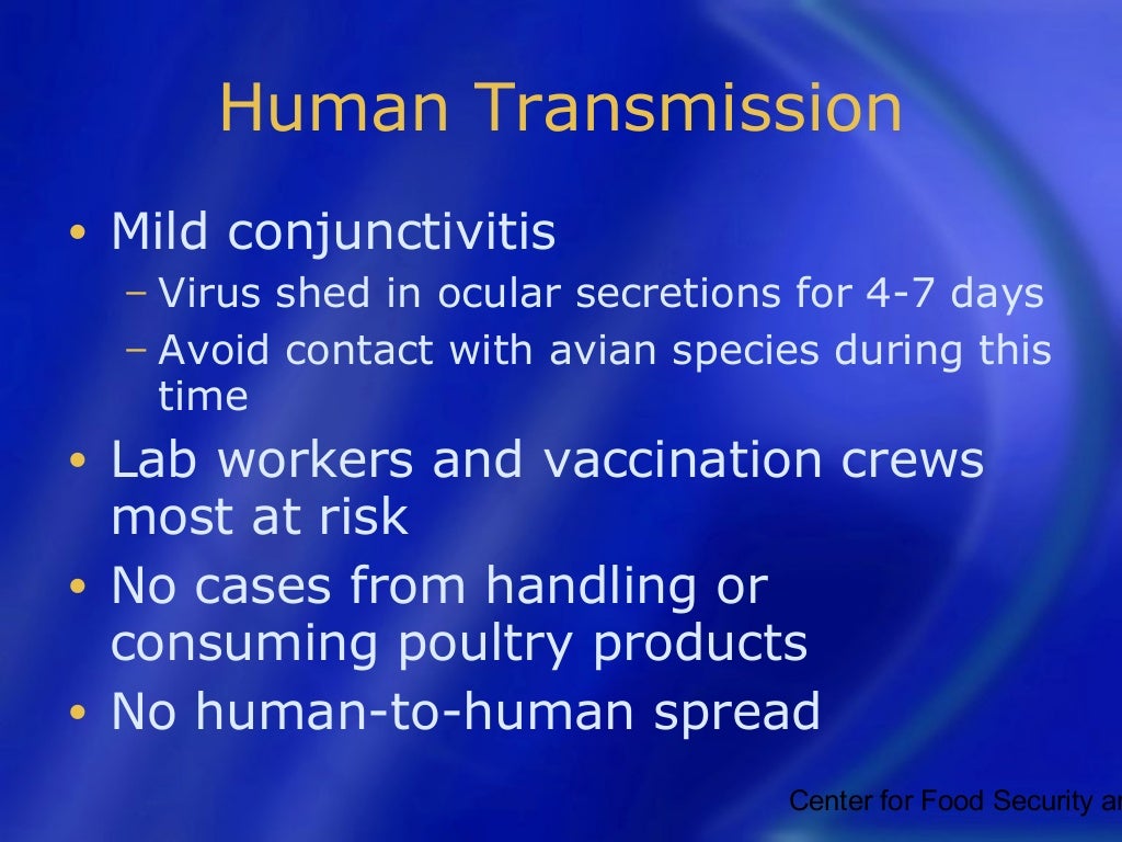 Newcastle disease