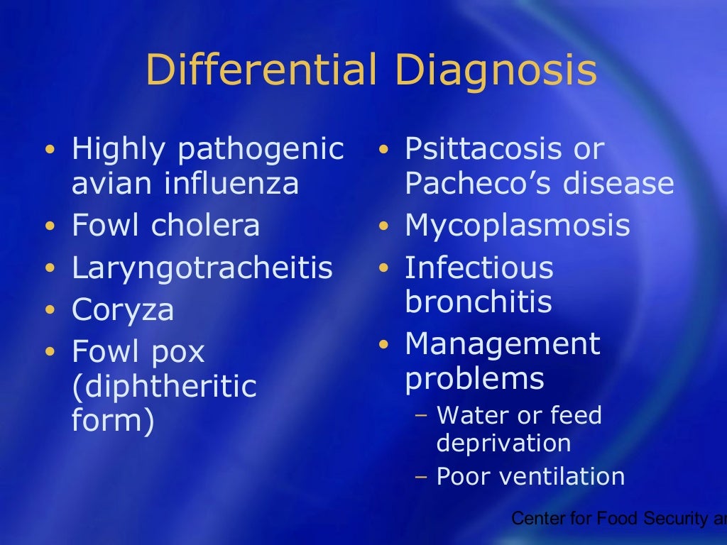 Newcastle disease