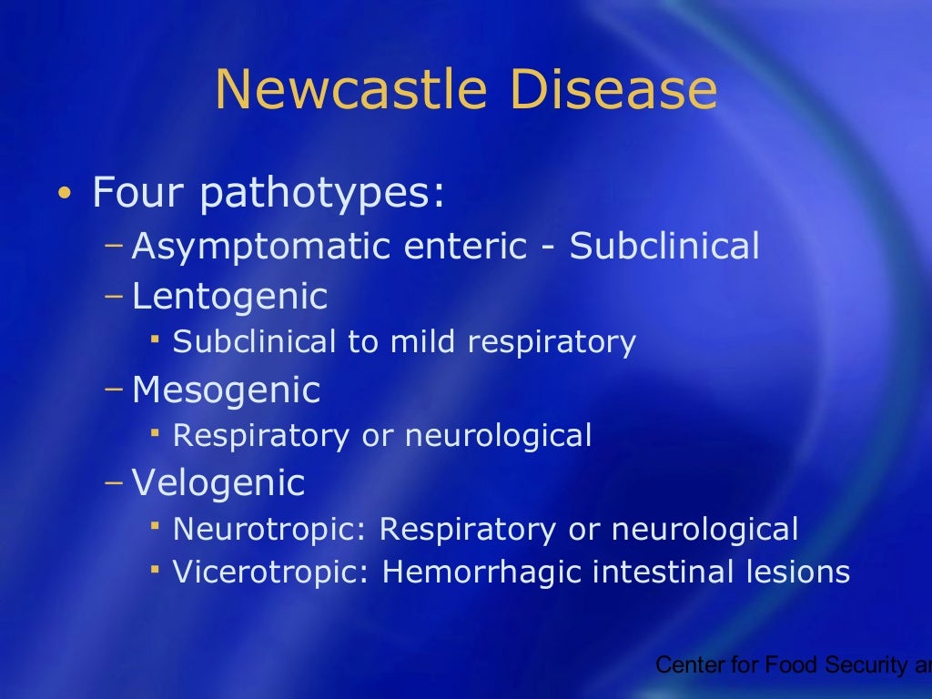 Newcastle disease