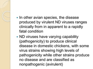  In other avian species, the disease
produced by virulent ND viruses ranges
clinically from in apparent to a rapidly
fatal condition
 ND viruses have varying capability
(pathogenicity) to produce clinical
disease in domestic chickens, with some
virus strains showing high levels of
pathogenicity while other strains produce
no disease and are classified as
nonpathogenic (avirulent)
 