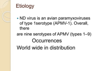 Etiology
 ND virus is an avian paramyxoviruses
of type 1serotype (APMV-1). Overall,
there
are nine serotypes of APMV (types 1–9)
Occurrences
World wide in distribution
 