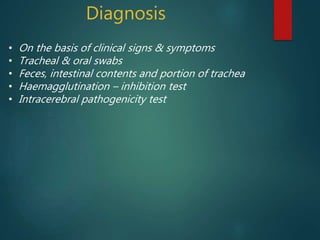 Diagnosis
• On the basis of clinical signs & symptoms
• Tracheal & oral swabs
• Feces, intestinal contents and portion of trachea
• Haemagglutination – inhibition test
• Intracerebral pathogenicity test
 