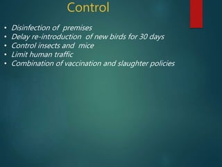 Control
• Disinfection of premises
• Delay re-introduction of new birds for 30 days
• Control insects and mice
• Limit human traffic
• Combination of vaccination and slaughter policies
 
