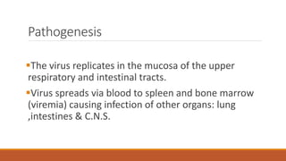 Pathogenesis
The virus replicates in the mucosa of the upper
respiratory and intestinal tracts.
Virus spreads via blood to spleen and bone marrow
(viremia) causing infection of other organs: lung
,intestines & C.N.S.
 