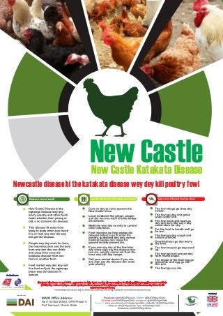 New Castle Katakata Disease
Newcastle disease bi the katakata disease wey dey kill poultry fowl
Implemented By
 