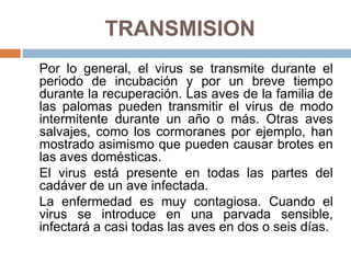 TRANSMISION
Por lo general, el virus se transmite durante el
periodo de incubación y por un breve tiempo
durante la recuperación. Las aves de la familia de
las palomas pueden transmitir el virus de modo
intermitente durante un año o más. Otras aves
salvajes, como los cormoranes por ejemplo, han
mostrado asimismo que pueden causar brotes en
las aves domésticas.
El virus está presente en todas las partes del
cadáver de un ave infectada.
La enfermedad es muy contagiosa. Cuando el
virus se introduce en una parvada sensible,
infectará a casi todas las aves en dos o seis días.
 