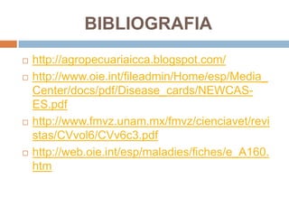 BIBLIOGRAFIA
   http://agropecuariaicca.blogspot.com/
   http://www.oie.int/fileadmin/Home/esp/Media_
    Center/docs/pdf/Disease_cards/NEWCAS-
    ES.pdf
   http://www.fmvz.unam.mx/fmvz/cienciavet/revi
    stas/CVvol6/CVv6c3.pdf
   http://web.oie.int/esp/maladies/fiches/e_A160.
    htm
 