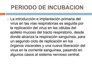 PERIODO DE INCUBACION
   La introducción e implantación primaria del
    virus en las vías respiratorias es seguida por
    la replicación del virus en las células del
    epitelio mucoso del tracto respiratorio, desde
    donde alcanza la respiración sanguínea, para
    un segundo ciclo de replicación en los
    órganos viscerales y una nueva liberación del
    virus en la corriente sanguínea, pasando en
    algunos casos al sistema nervioso central.
 
