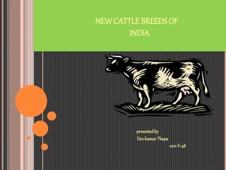 NEWCATTLE BREEDS OF
INDIA
presentedby
Deo kumar Thapa
2011-V-48
 